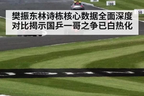 樊振东林诗栋核心数据全面深度对比揭示国乒一哥之争已白热化